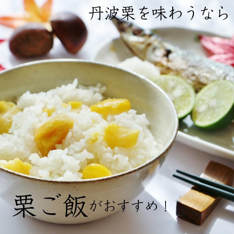 希少⭐︎限定品KUSHITANIxSEALコラボモデル⭐︎レッグバッグ