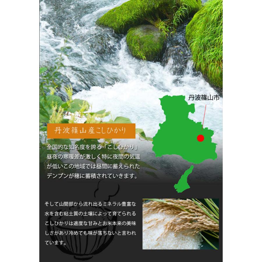 米 10kg お米 令和7年度 こしひかり 丹波篠山 特別栽培米 : 丹波国のや