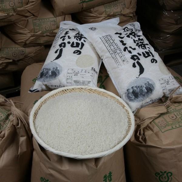 米 10kg お米 令和7年度 こしひかり 丹波篠山 特別栽培米 : 丹波国のや