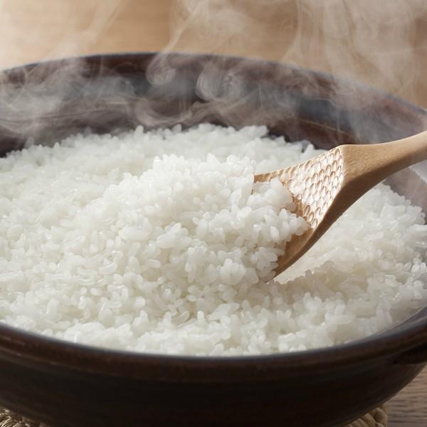 米 10kg お米 令和7年度 こしひかり 丹波篠山 特別栽培米 : 丹波国のや