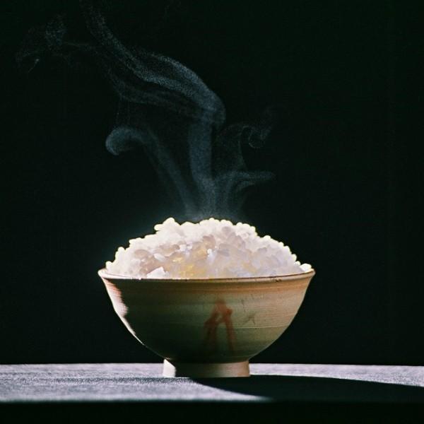 米 10kg お米 令和7年度 こしひかり 丹波篠山 特別栽培米 : 丹波国のや