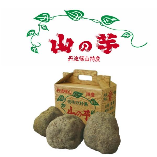 健康 伝統野菜 丹波篠山産 山の芋 粘り抜群 とろろ芋 山芋 優品 5kg箱