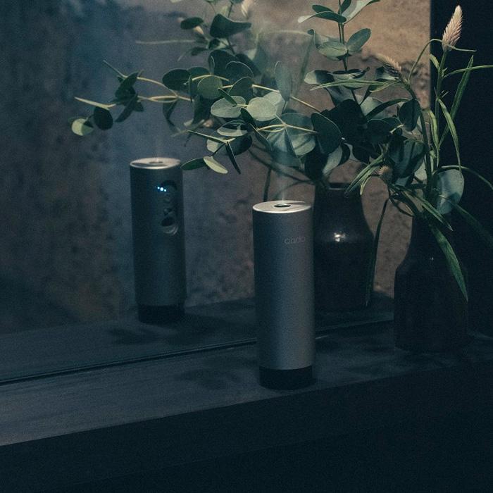 cado（カドー） 特典付 STEM Mini モバイルディフューザー MD-C10 加湿