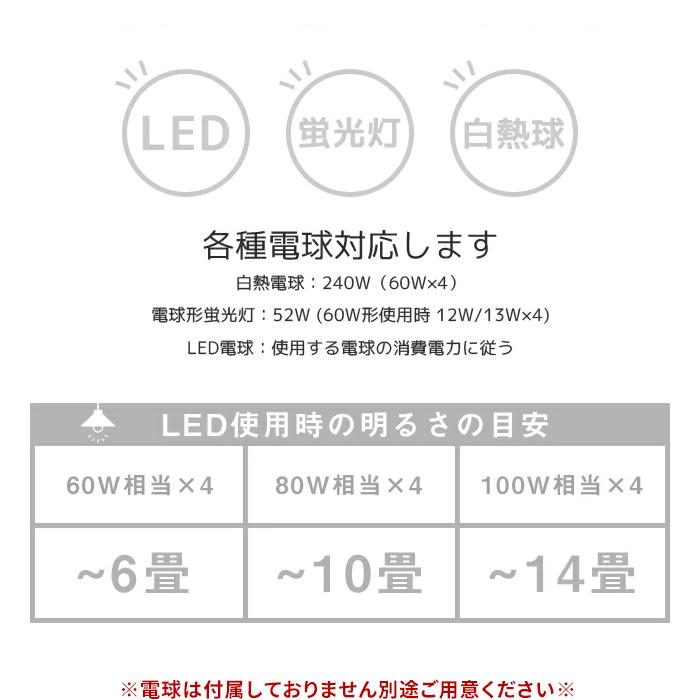 plus more 特典付 plusmore シーリングファン Windouble ウィンダブル