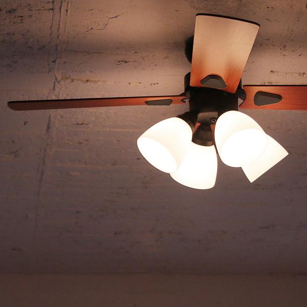 plus more 特典付 plusmore シーリングファン Windouble ウィンダブル