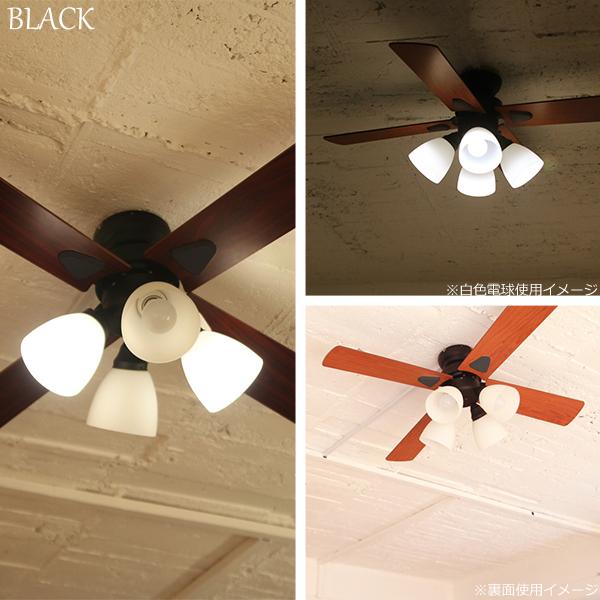 plus more 特典付 plusmore シーリングファン Windouble ウィンダブル