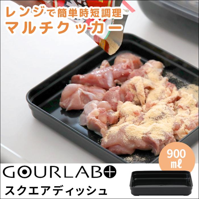 岩谷マテリアル Iwatani グルラボプラス スクエアディッシュ（単品