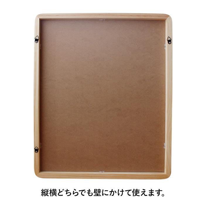 特典付 Acoustic アコウスティック Paladec (パラデック) ウッド