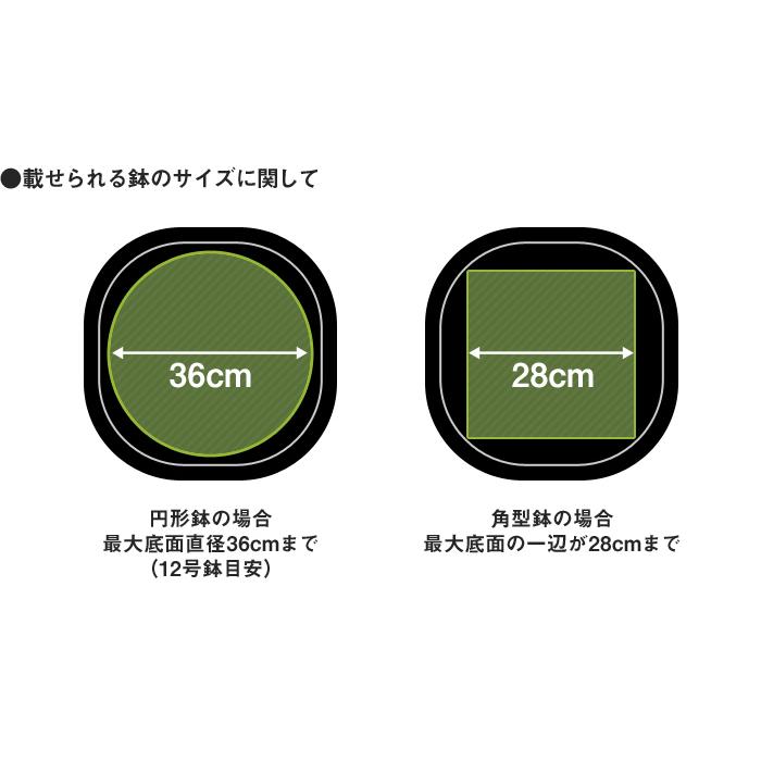テラモト（TERAMOTO） 特典付 tidy Plantable L プランタブル ラージ