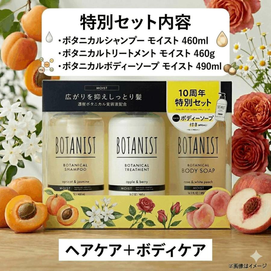 BOTANIST ボタニカルシャンプー 10周年特別セット/4セット＋通常セット BOTANIST（ボタニスト） 【10周年特別セット】ボタニスト ヘアケア