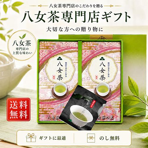 八女茶 お茶 ギフト 緑茶 煎茶 茶葉 100g 2本 F2-20 八女茶の里 : 八女 