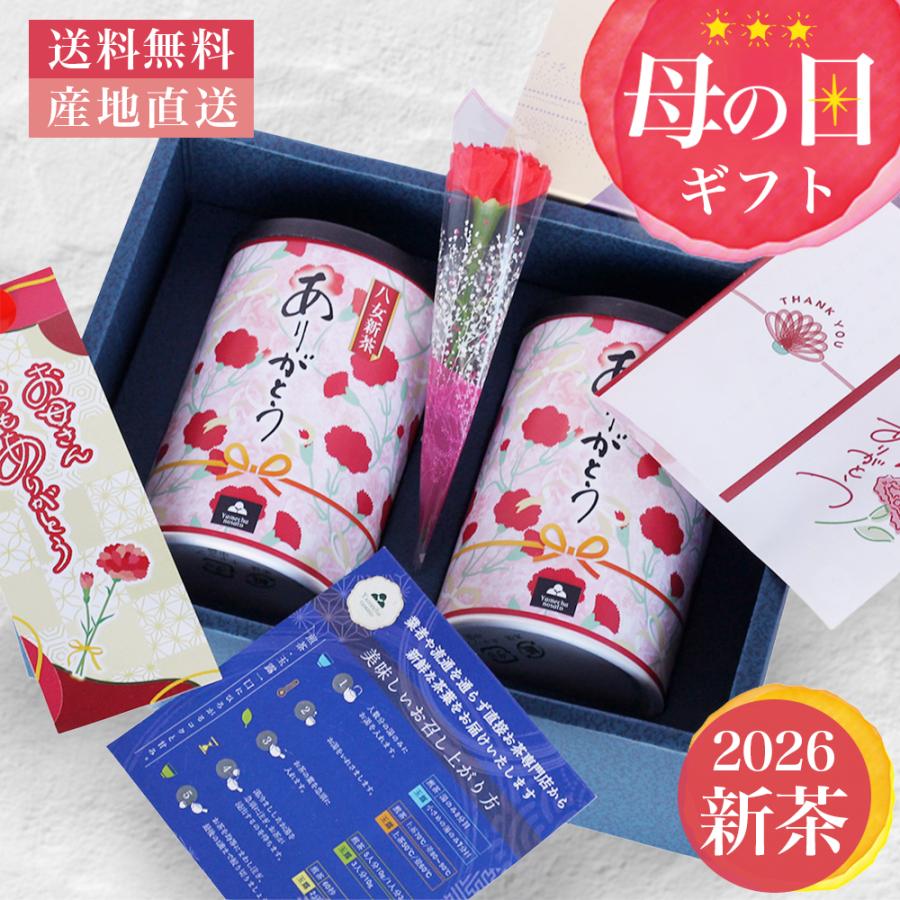 母の日 ギフト 贈り物 新茶 八女茶 お茶 緑茶 煎茶 茶葉 カーネーション付 送料無料 HG-21 八女茶の里（Yahoo!・八女茶の里）