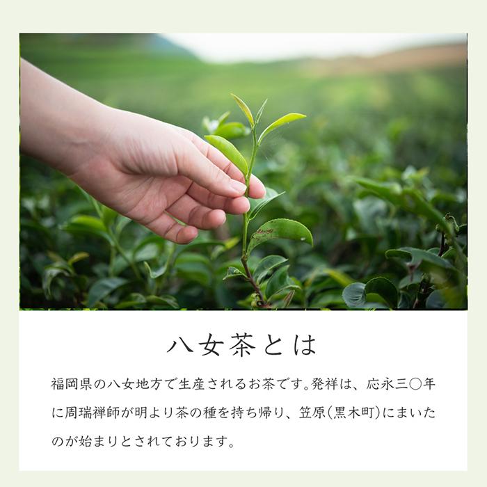 母の日 限定 2024年度 新茶 ギフト 八女茶 お茶 緑茶 煎茶 茶葉 健康 HG-35 八女茶の里｜yamechanosato｜08