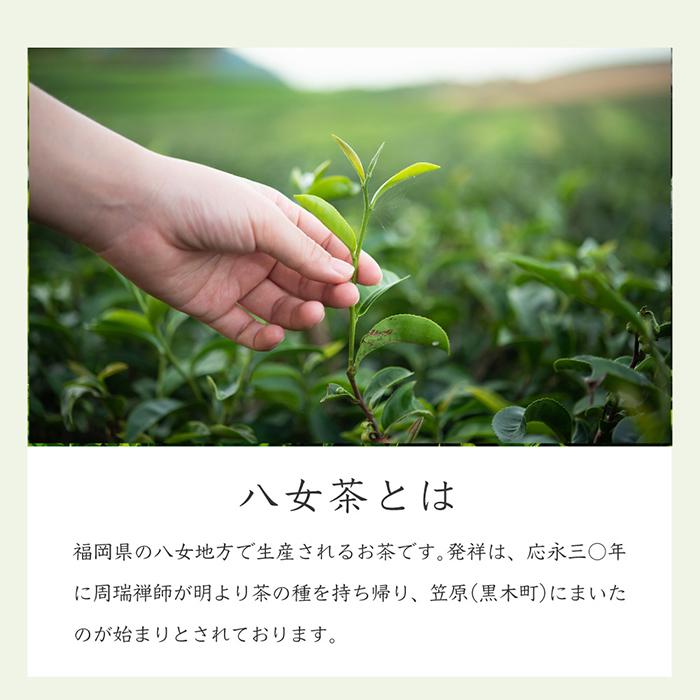 お茶 八女茶 2024年度新茶 緑茶 茶葉 まとめて S-10 100ｇ 3本 セット 八女茶の里｜yamechanosato｜08