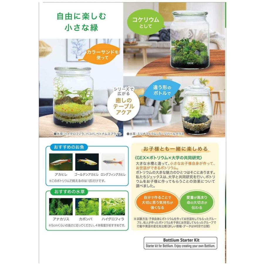 人気 ジェックス ボトリウム ネイチャーセット ブラック Shipsctc Org