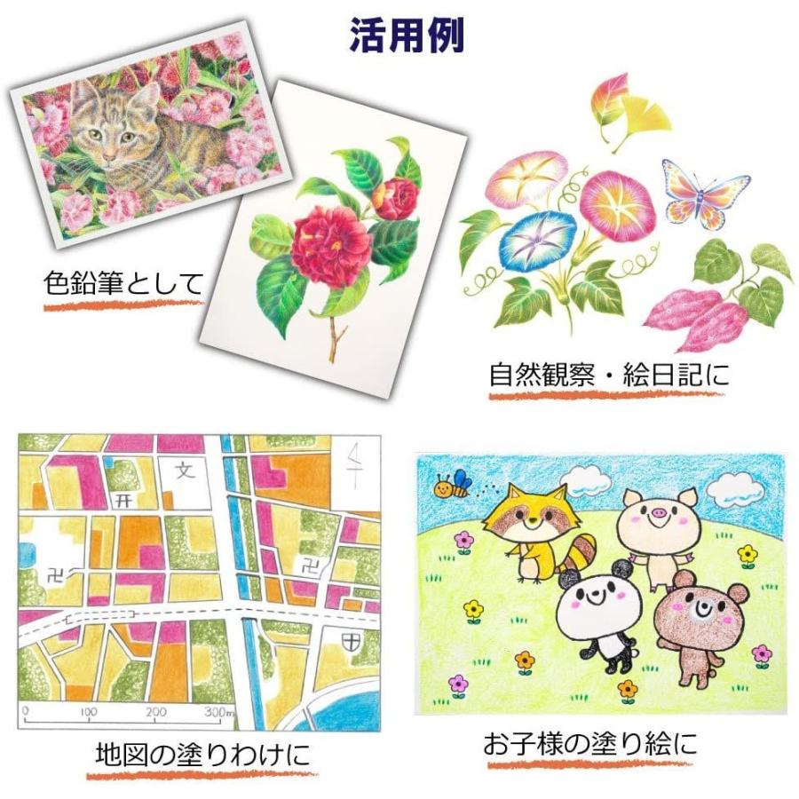 サクラクレパス クーピー色鉛筆 PFYバラ10P#50 白 10本 ...