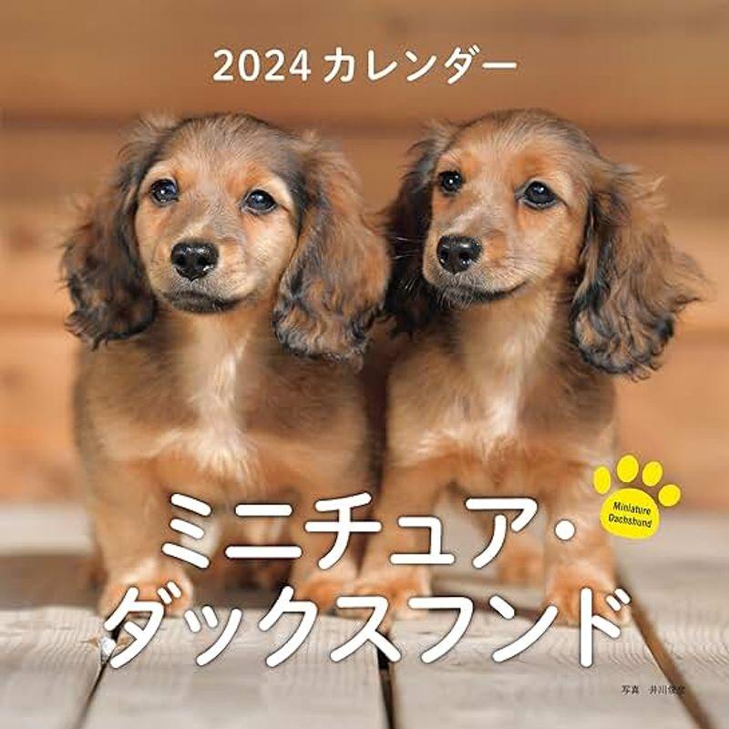 2024年カレンダー ミニチュア・ダックスフンド (誠文堂新光社カレンダー)｜yammy-yammy｜03