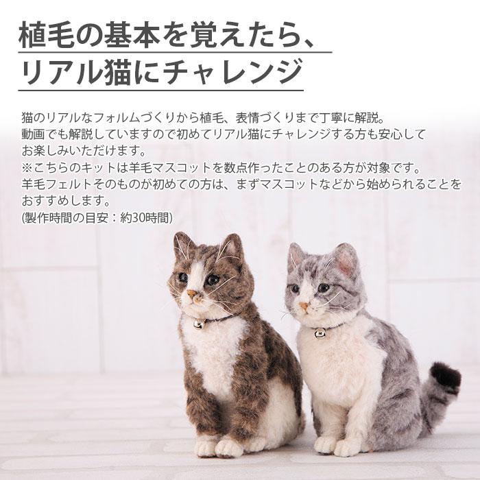 ハマナカ 羊毛フェルト キット セット / Hamanaka(ハマナカ) 羊毛