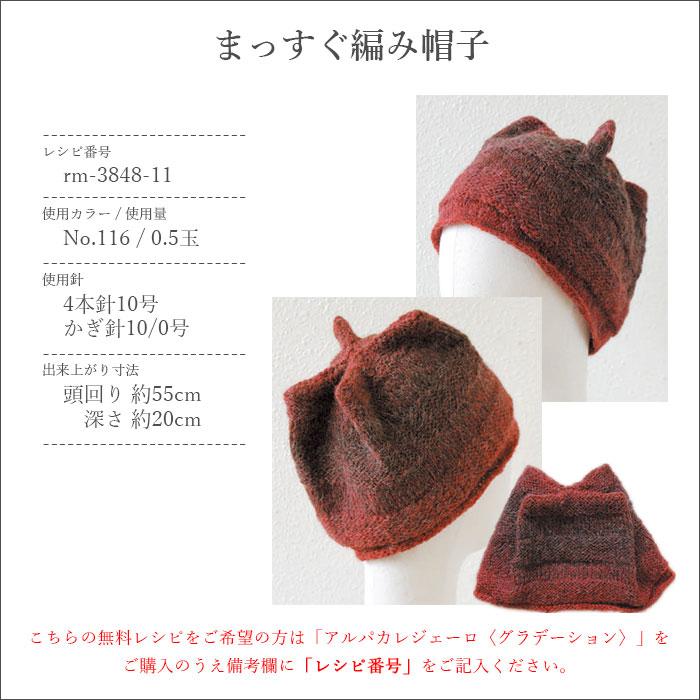 RichMore 毛糸 極太 段染め グラデーション / Rich More RichMore 毛糸 極太 段染め グラデーション / Rich More