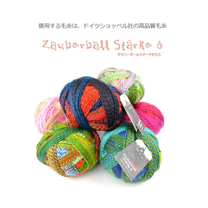 SCHOPPEL（ショッペル） 編み物 キット 毛糸 編み図 / Star Neck