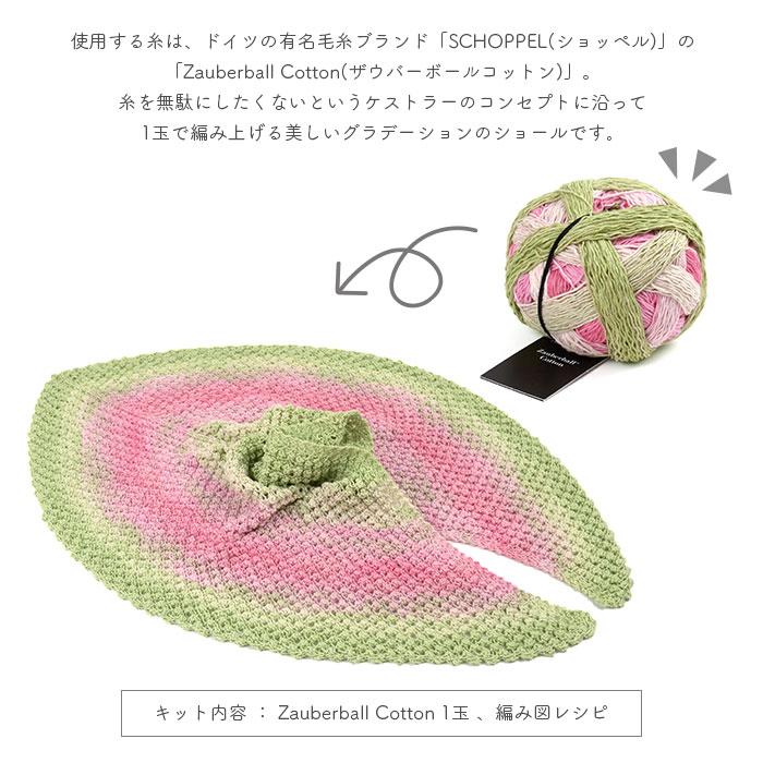 編み物 キット 毛糸 編み図 SCHOPPEL(ショッペル) Zauberball CottonのTrinity Shawl(トリニティショール) 柳屋 Bernd Kestler(ベルンド・ケストラー) コラボ |  | 02
