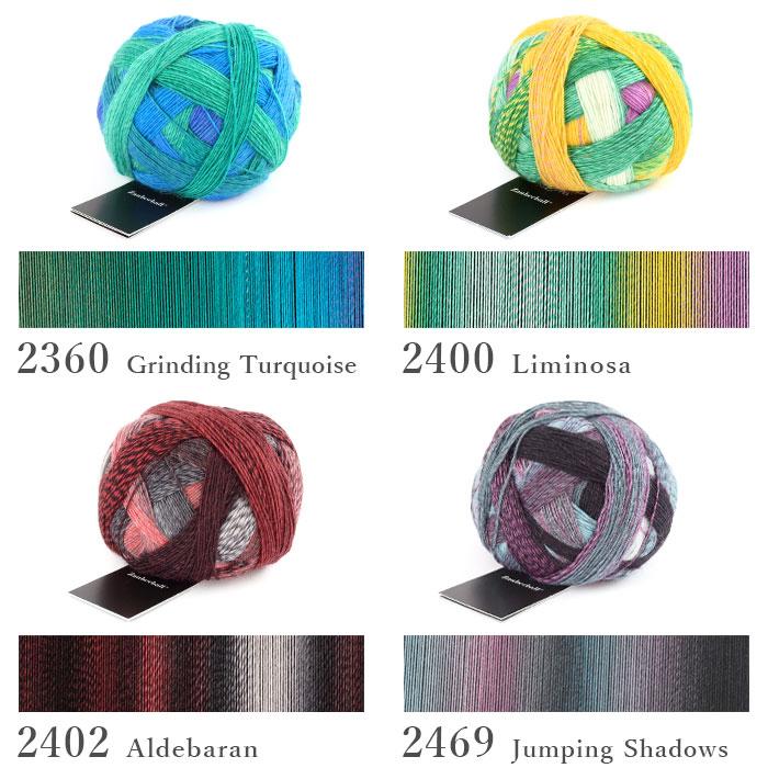 編み物 キット SCHOPPEL(ショッペル) ZauberballのFloating Leaf