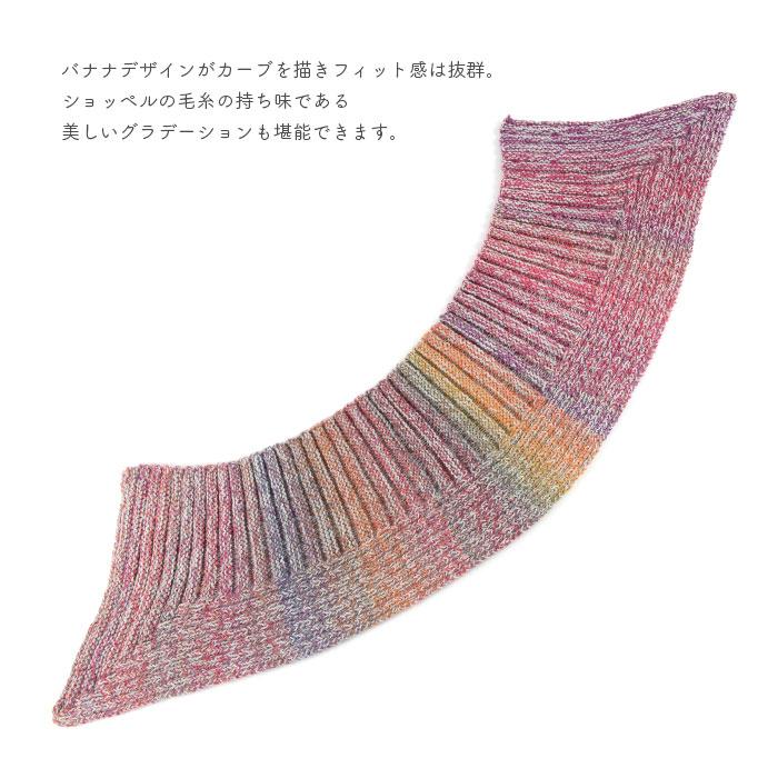 編み物 キット 毛糸 書籍 セット SCHOPPEL(ショッペル) 「ベルンド・ケストラーのマーリング編み」と Banana Shawl(バナナショール)の画像