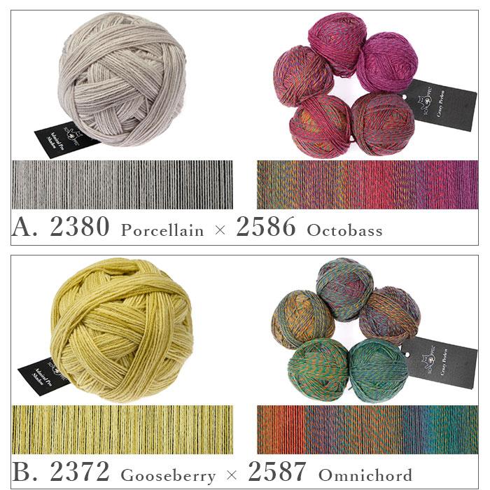 編み物 キット 毛糸 書籍 セット SCHOPPEL(ショッペル) 「ベルンド・ケストラーのマーリング編み」と Banana Shawl(バナナショール)の画像