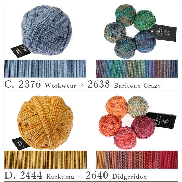 編み物 キット 毛糸 書籍 セット SCHOPPEL(ショッペル) 「ベルンド・ケストラーのマーリング編み」と Banana Shawl(バナナショール)の画像