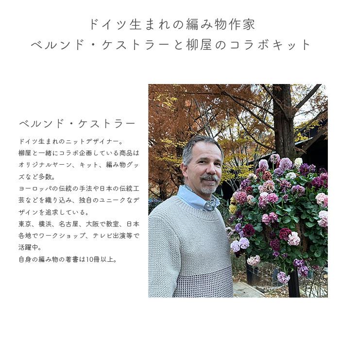 SCHOPPEL（ショッペル） 編み物 キット 毛糸 Admiral 6 fachと