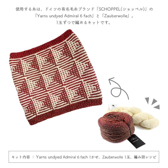 SCHOPPEL（ショッペル） 編み物 キット 毛糸 Admiral 6 fachと