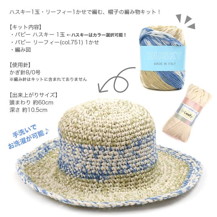 編み物 キット Puppy パピー ハスキーとリーフィーで編む 細編みの帽子キット Set 1023 01 毛糸 手芸 コットン柳屋 通販 Yahoo ショッピング