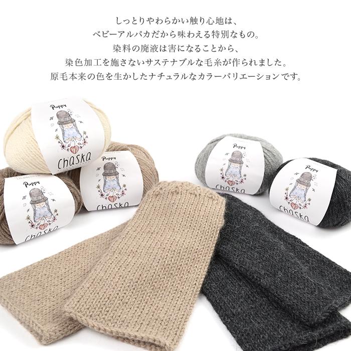 編み物 キット 毛糸 Puppy(パピー) チャスカで編む丸ヨークセーターキットの画像