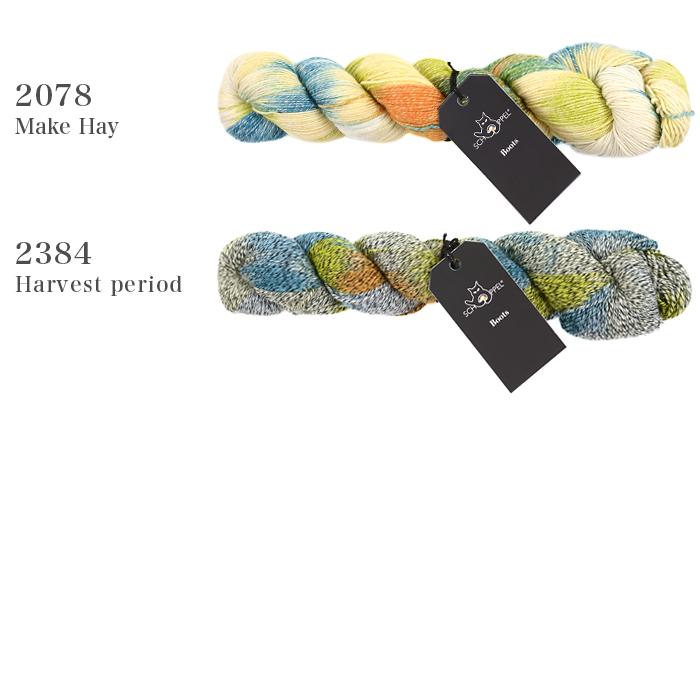 SCHOPPEL（ショッペル） 毛糸 輸入 グラデーション / Boots(ブーツ