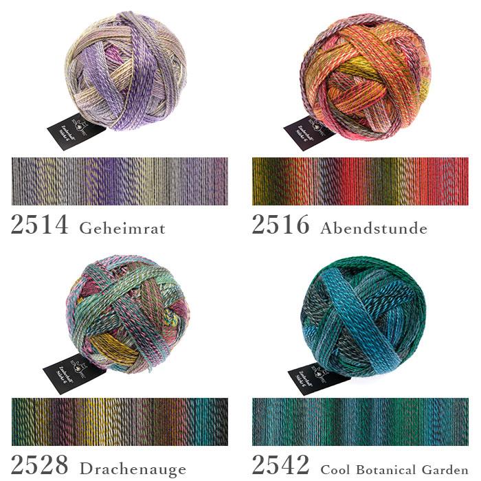 SCHOPPEL 毛糸 輸入 グラデーション / SCHOPPEL(ショッペル