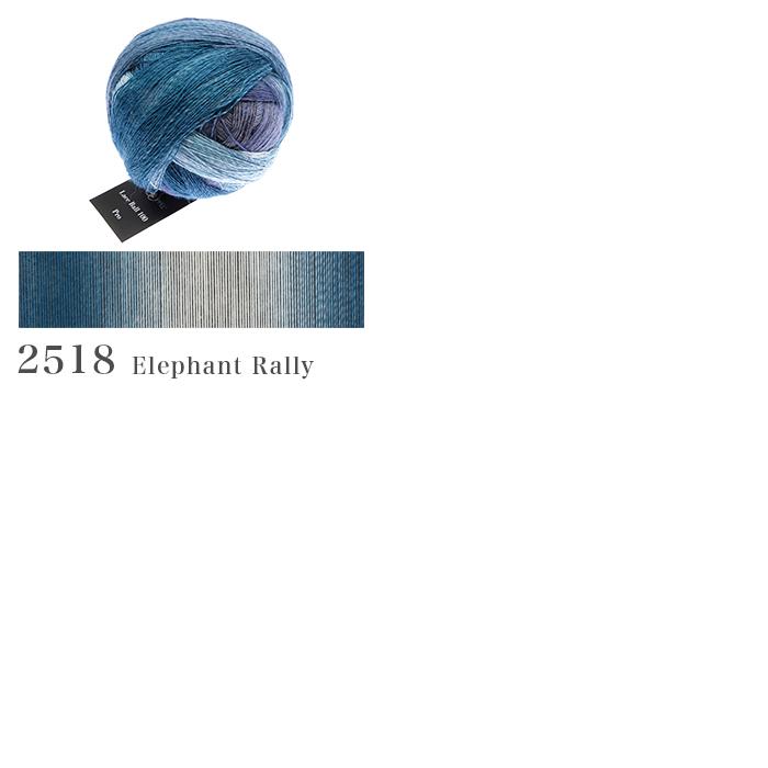 まとめ買い SCHOPPEL（ショッペル） 毛糸 輸入 グラデーション / Lace Ball 100