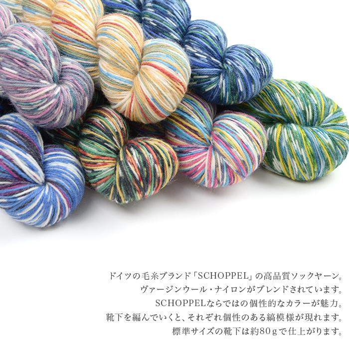 マル　確認用 SCHOPPEL（ショッペル） 毛糸 輸入 グラデーション das Paar(ダスパー