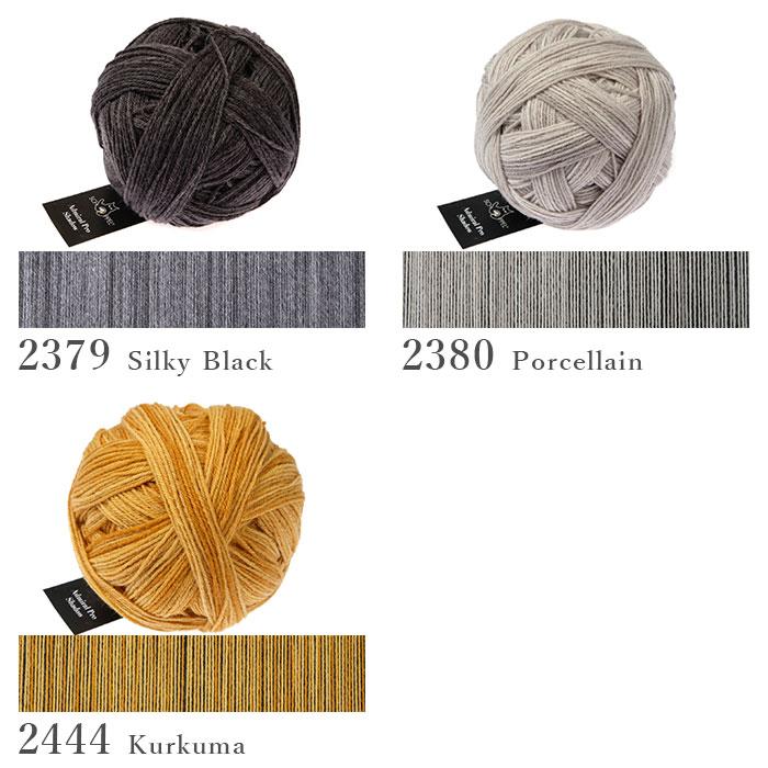 SCHOPPEL（ショッペル） 毛糸 輸入 ソックヤーン Admiral Pro Shadow