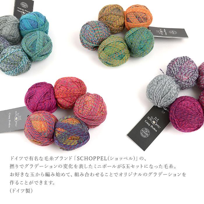SCHOPPEL（ショッペル） 毛糸 輸入 グラデーション ソックヤーン Crazy