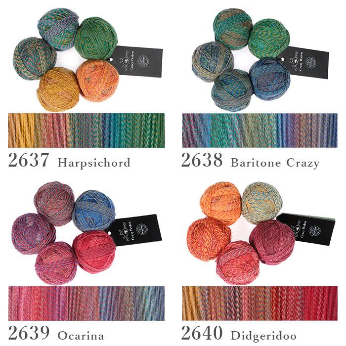 SCHOPPEL（ショッペル） 毛糸 輸入 グラデーション ソックヤーン Crazy