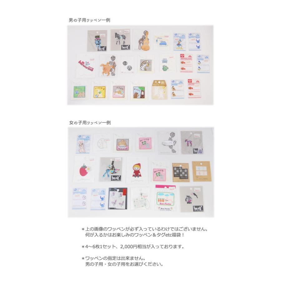 定形外郵便送料無料 ワッペン 福袋 プチデポーム ディズニー アイロンワッペン お得セット福袋 手芸の柳屋 Wappen Set 毛糸 手芸 コットン柳屋 通販 Yahoo ショッピング