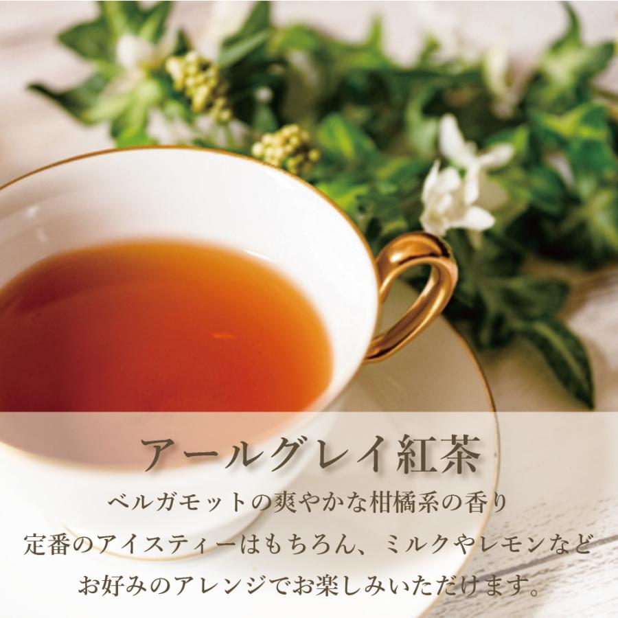 パウティー アールグレイ 紅茶 無糖 250g 業務用 インスタントティー 粉末 粉茶 パウダー ポーション お茶 おちゃ Powtea ギフト 贈り物 D Te 11 柳屋茶楽 通販 Yahoo ショッピング