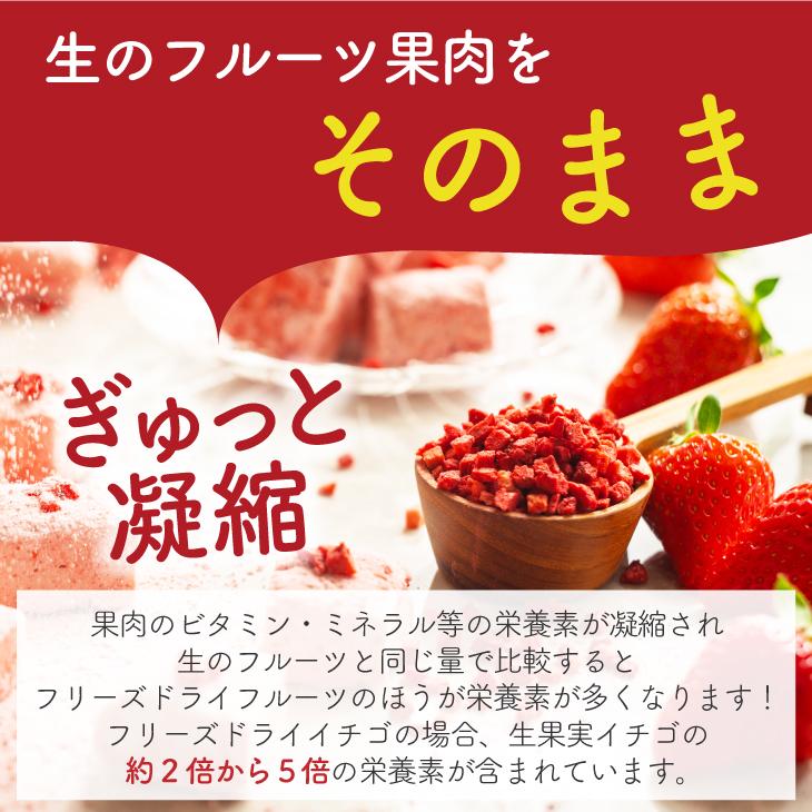 パウティー フリーズドライフルーツ フリーズドライ イチゴ 200g