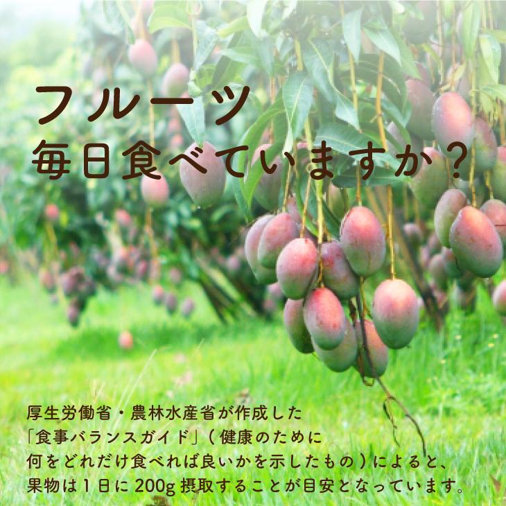 フリーズドライフルーツ フリーズドライ マンゴー 60g ( ダイスカット サイズ:5mm ) フルーツ 果物 トッピング パウティー POWTEA 無添加｜yanagiya-charaku｜03
