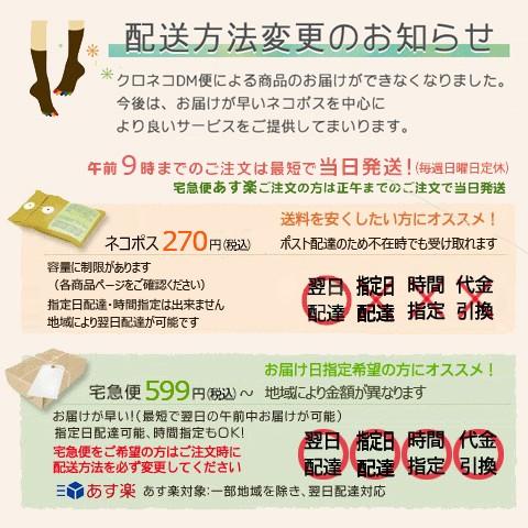 体操服 クォーターパンツ 100 160サイズ 短パン 第2弾ネコポス送料無料 スクール体操服当店オリジナル企画 吸汗速乾 体操着 あすつく対応 School9 7 G3 501 柳屋小町 通販 Yahoo ショッピング