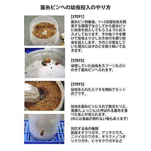 4周年記念イベントが 菌糸ビン Ep 1400 クワガタ幼虫用透明容器 Shipsctc Org