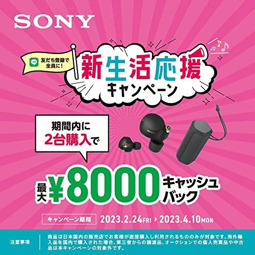 売り廉価 SixTONES 出演CM LinkBuds S ソニー ワイヤレスノイズキャンセリングステレオイヤホン :軽量・小型/ノイキャン/外音取り込み