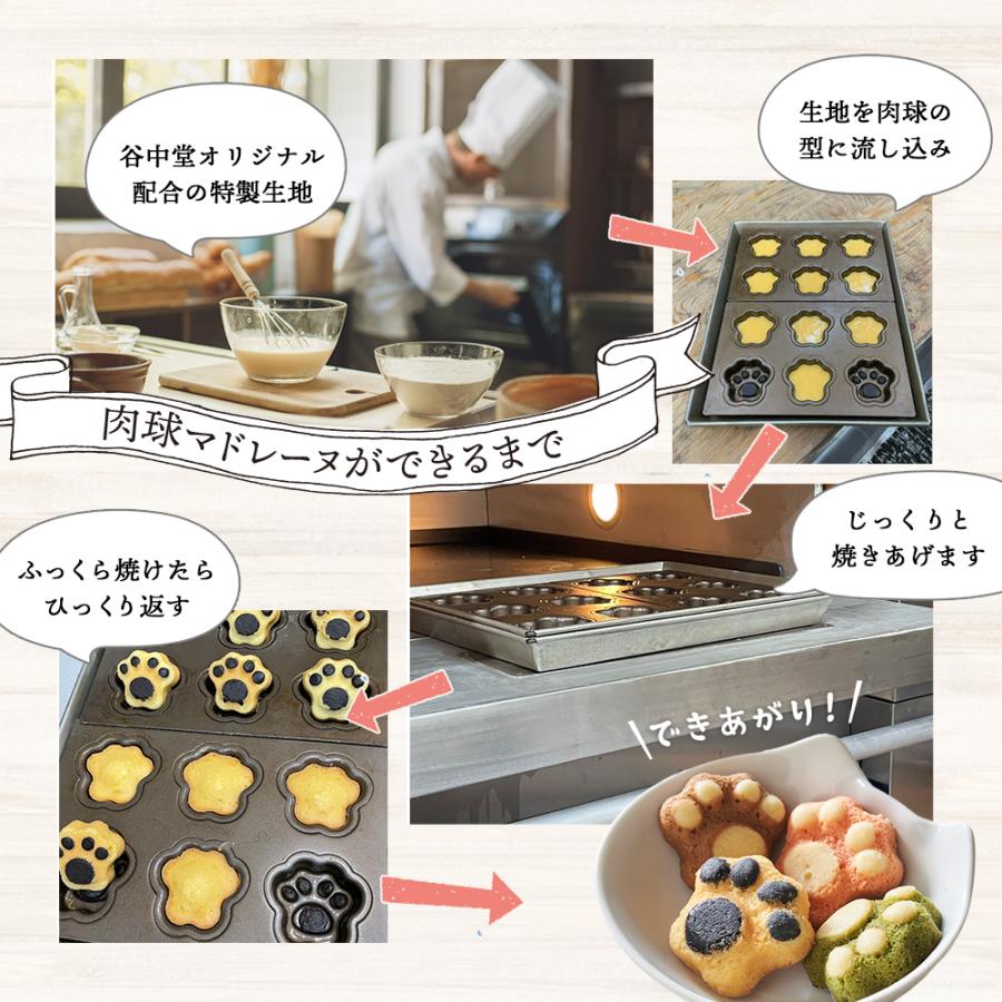 バレンタインデー焼き菓子詰め合わせ 「ネコスイーツ16個セットLサイズ