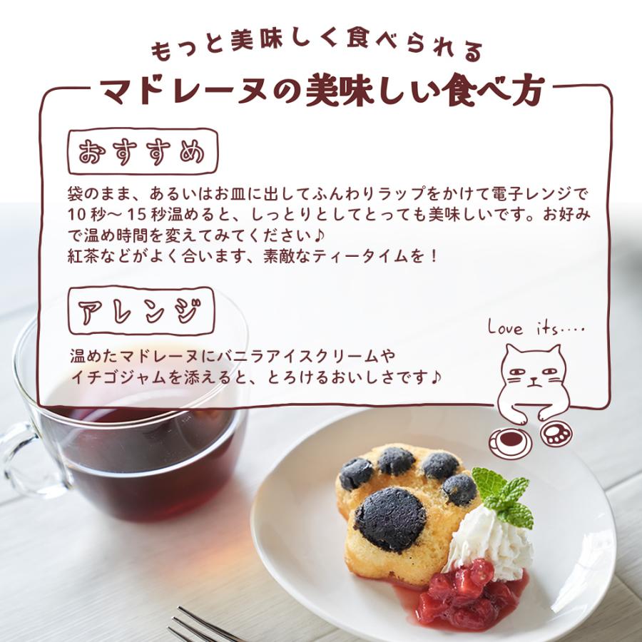 ホワイトデー 焼き菓子詰め合わせ 「ネコスイーツ16個セットLサイズ