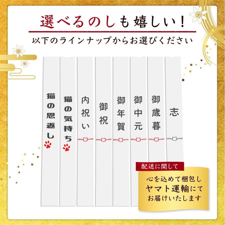 新商品 金運小判招き猫 開店祝い 招き猫 招き猫 金運アップ 開運グッズ 商売繁盛 風水 置物 黄金 金色 縁起物 かわいい 玄関 置き物 日本製 ギフト_8